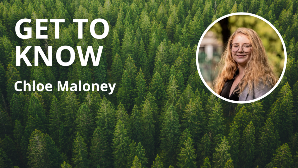 Introduction to our Executive Search Associate – Chloe Maloney