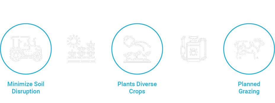 A graphic showing the top 5 principles for regenerative agriculture